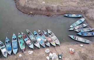 Türkiye’nin en büyük tatlı su gölünde balık...