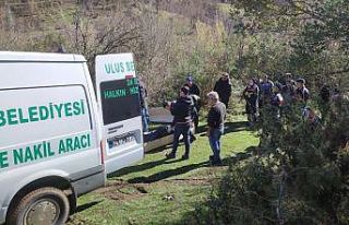 Üç gün önce kaybolan yaşlı adam ormanlık alanda...
