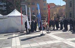 Valilikten vatandaşlara fidan dağıtımı