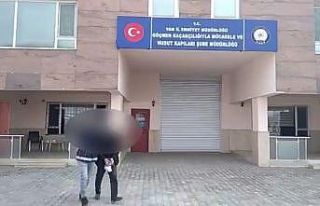 Van’da 11 organizatör tutuklandı