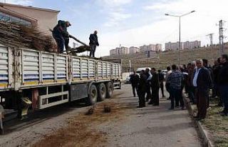 Van’da 31 bin adet meyve fidanı dağıtıldı