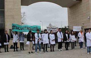 Veterinerlik fakültesi öğrencilerinden hayvan hastanesi...