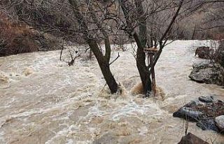 Yağışlarla Munzur ve Pülümür çaylarının seviyesi...