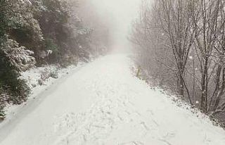 Yalova’da yüksek kesimler kar yağışıyla beyaza...