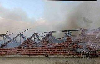 Yangında 300’e yakın saman balyası yandı