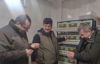 Yeni yılın ilk keklik yavruları kuluçkadan çıkmaya...