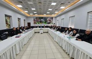 Yenice Ormanlarında ara denetim başladı