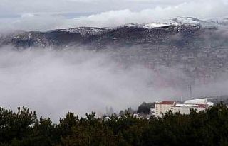 Yozgat’ta yoğun sis etkili oldu