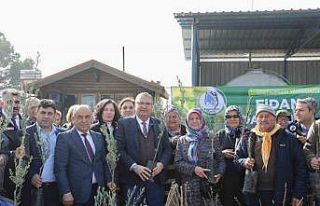 Yunusemre Belediyesi üreticisine 35 bin fidan dağıttı