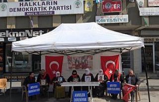 Yüreği yanık aileler eylemlerine devam etti