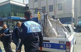 Zabıta ekipleri işi sıkı tutuyor