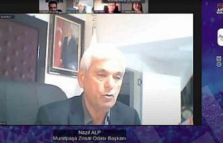 Ziraat Odası Başkanı Alp: "100 binin üzerinde...