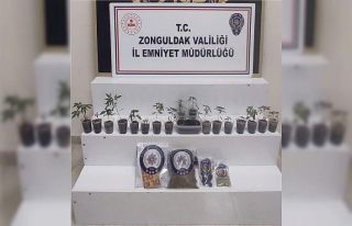 Zonguldak’ta uyuşturucu operasyonu: 1 gözaltı