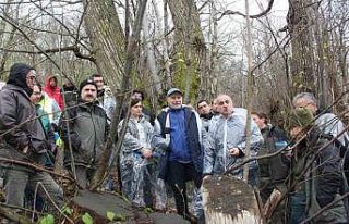 2 ildeki ormanlar kestane ve kestane balı üretiminin...