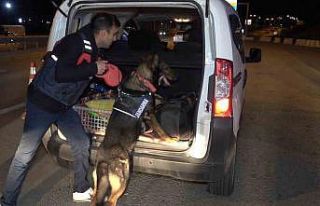43 ilin geçiş güzergahında gece yarısı narkotik...
