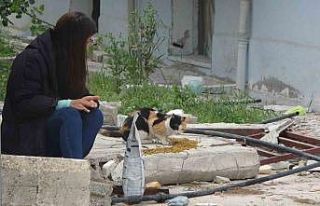 83 gündür Kekik’i yıkık binalar arasında arıyorlar