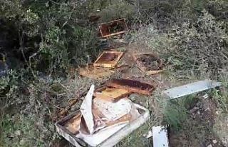 Aç kalan ayı arı kovanlarını parçaladı