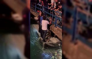 Adana’da minibüs sulama kanalına düştü, itfaiye...