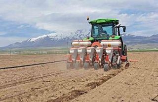 Adilcevaz’da şeker pancarı ekimi başladı