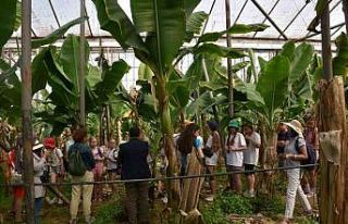 Alanya’da kardeş şehir çocuklarına tropikal...
