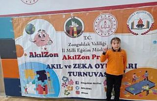 Alaplılı öğrenciden akıl ve zekâ oyunlarında...