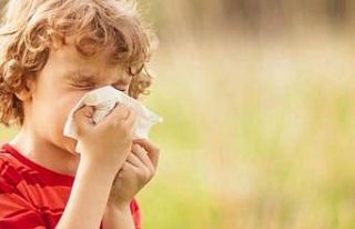 Alerjik çocuklar için 14 öneri