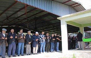 Almanya’da öldürülen Türk taksici Samsun’da...