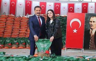 Amasya çiftçisine 55 bin kilo yem bitkisi tohumu...