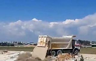 Antalya’da yavru köpeklere beton atık suyu katliamı