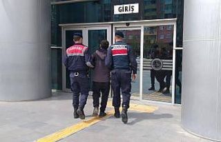 Aranması olan 3 şüpheli jandarma ekiplerince yakalandı