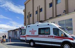 Ardahan’da yıldırım can aldı