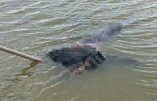 Arife günü kaybolan kadın nehirde ölü bulundu