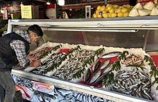 Avlanma yasağı başladı ama tezgahlardaki çeşitlilik...