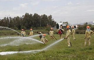 Aydın Orman İşletme Müdürlüğü’nde İşbaşı...