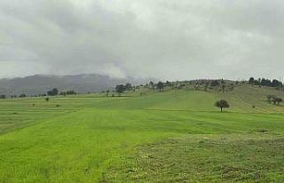 Baharda sisle buluşan Ilgaz Dağı’nın eteklerinde...