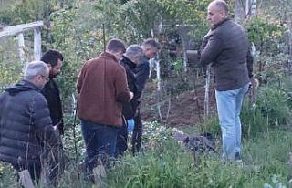 Bahçede çalışırken hayatını kaybetti