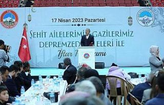 Bakan Akar: "Suriye’nin kuzeyinde etkisiz hale...