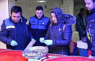 Balıkların boyları tek tek kontrol edildi