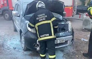 Batman’da park halindeki hafif ticari araç alev...