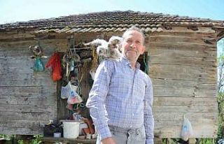 Baykuş ile vatandaşın 20 yıllık dostluğu