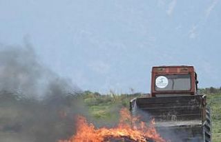 Belediye ekipleri, Kuş cennetine çöp döküp yaktı