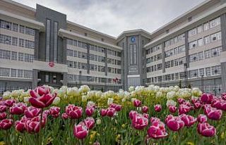 Belediye, şehri lale ve sümbüllerle donattı