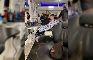 Berber koltuğuna yumurtlayan tavuklar görenleri...