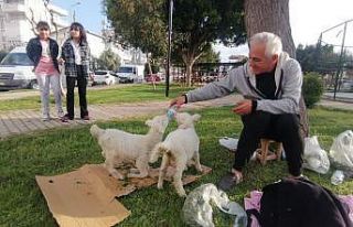 Biberonla beslediği kuzular, parklardaki çocukların...