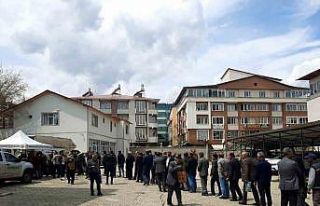 Bingöl’de 10 bin fidan dağıtıldı