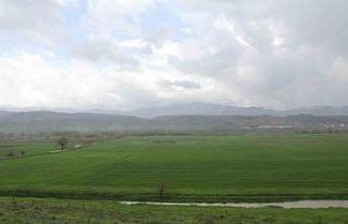Bingöl’de sağanak yağış sonrası tarım arazileri...
