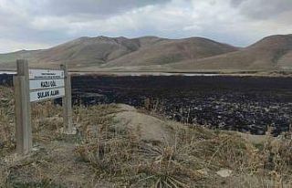 Birçok kuş türüne ev sahipliği yapan Kazlıgöl...