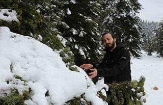 Bolu’da Nisan ayında kar sürprizi