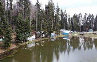 Bolu’nun doğa harikası yaylası ziyaretçilerini...