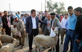 Bursa’da hayvan pazarları açılıyor